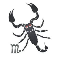 Skorpion Boy Sternzeichen