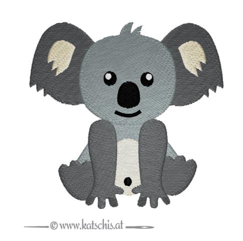 Koalabär Boy